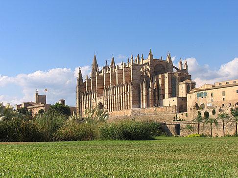 Die Kathedrale