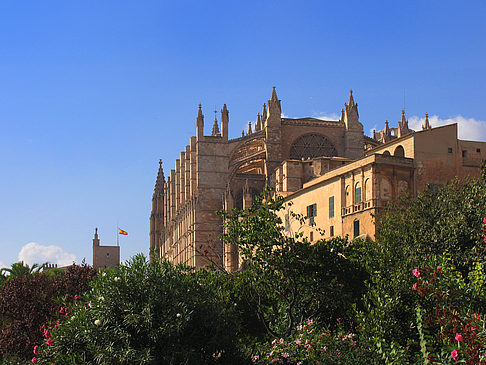 Foto Die Kathedrale - Palma de Maljorka