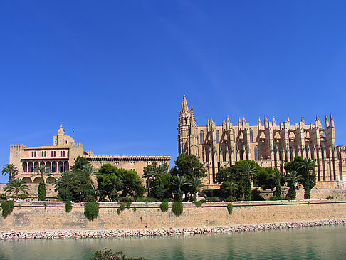 Die Kathedrale