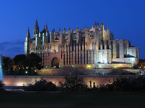 Fotos La Seu beim Sonnenuntergang | Palma de Maljorka