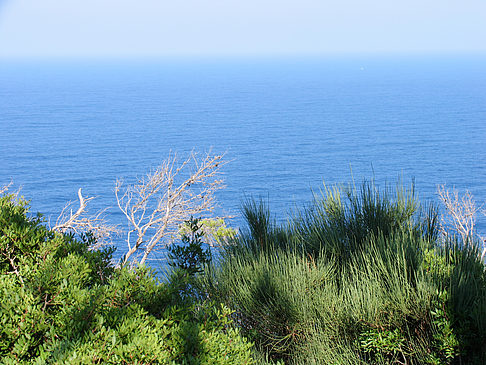 Ausblick vom Leuchtturm