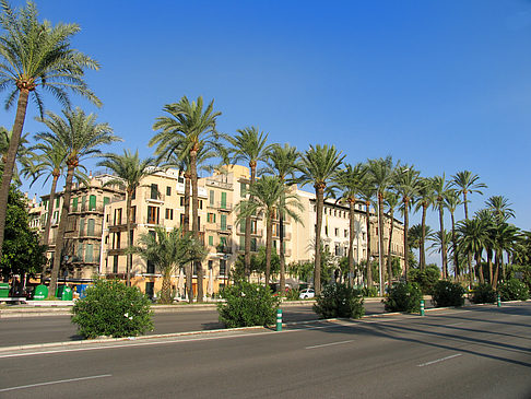 Auf den Straßen von Palma Fotos