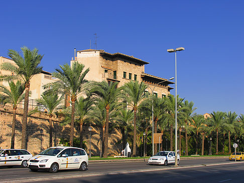 Auf den Straßen von Palma