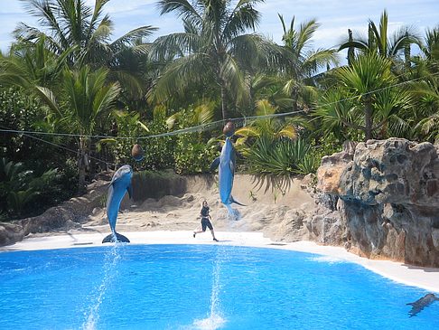 Loro Parque Foto 