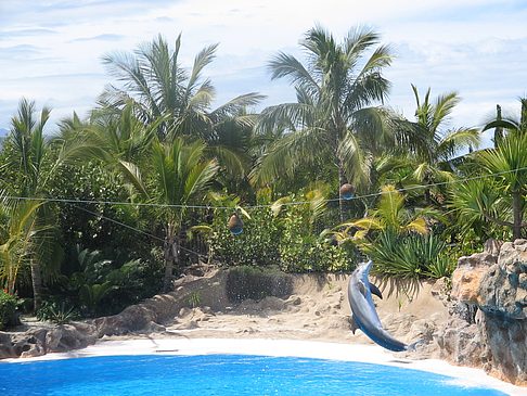 Loro Parque Foto 